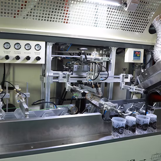 S102 Alta qualità con trattamento automatico della fiamma e sistema di asciugatura UV 1